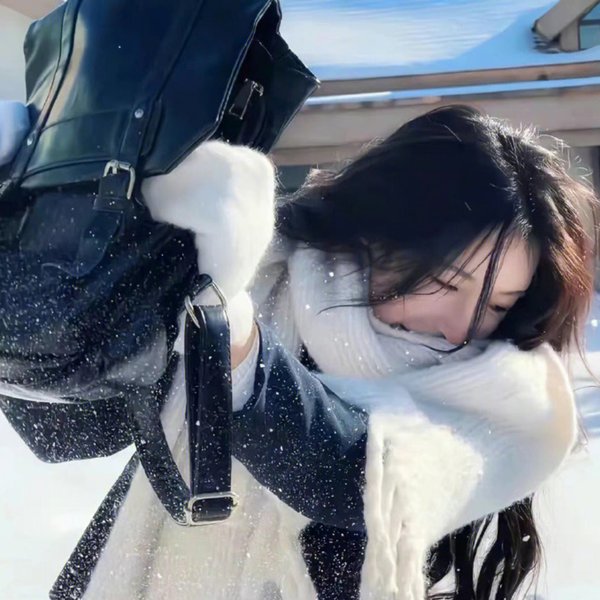 丈夫宝鉴
